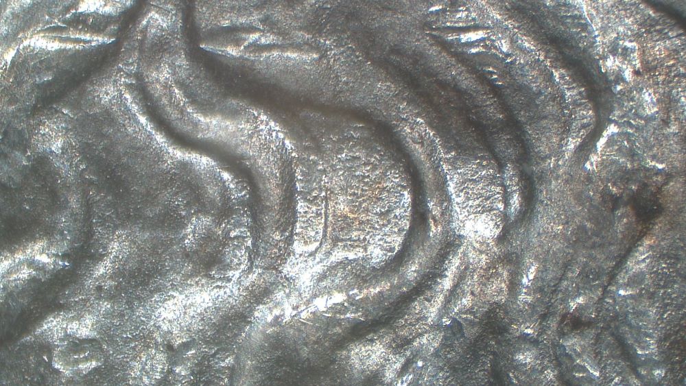 Image 14