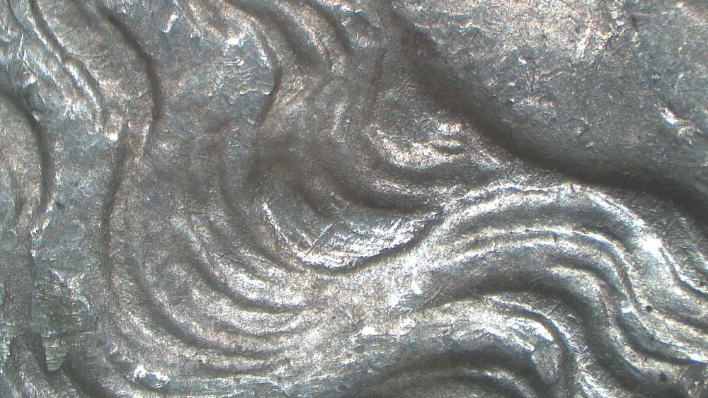Image 13