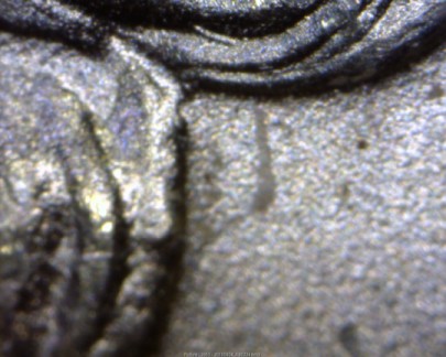 Image 13