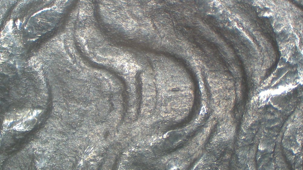 Image 15