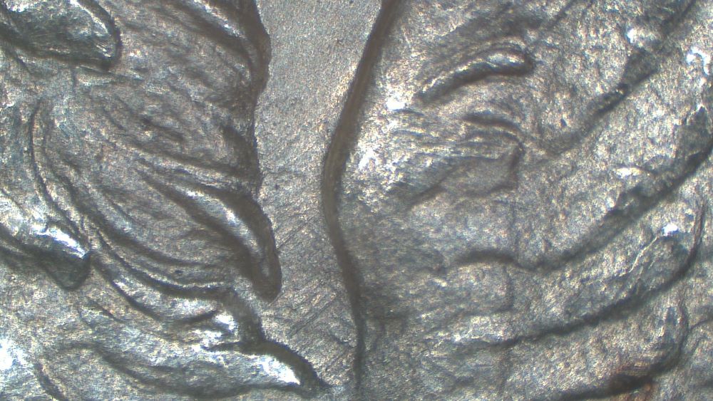Image 20