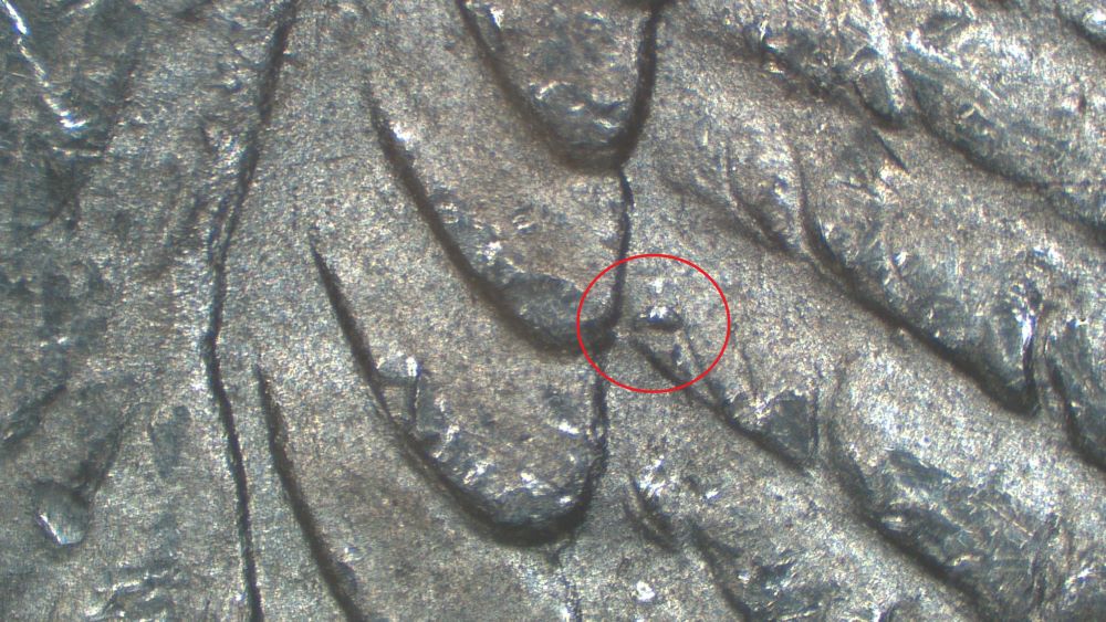 Image 9