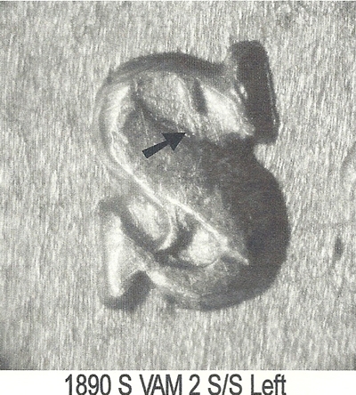 Image 14