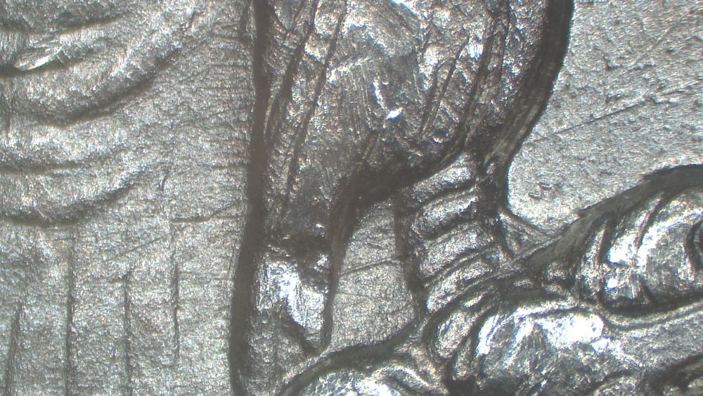 Image 13