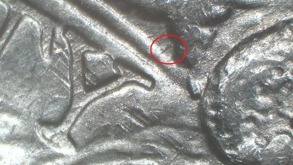 Image 15