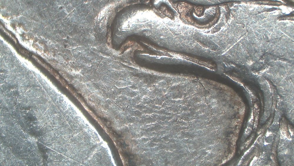 Image 15