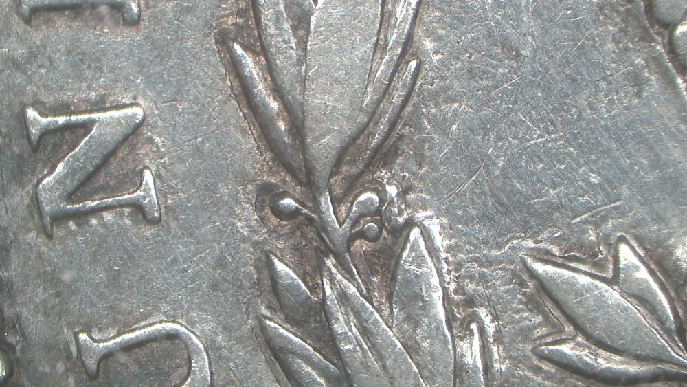Image 17