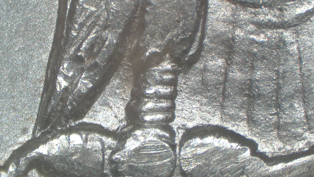 Image 21
