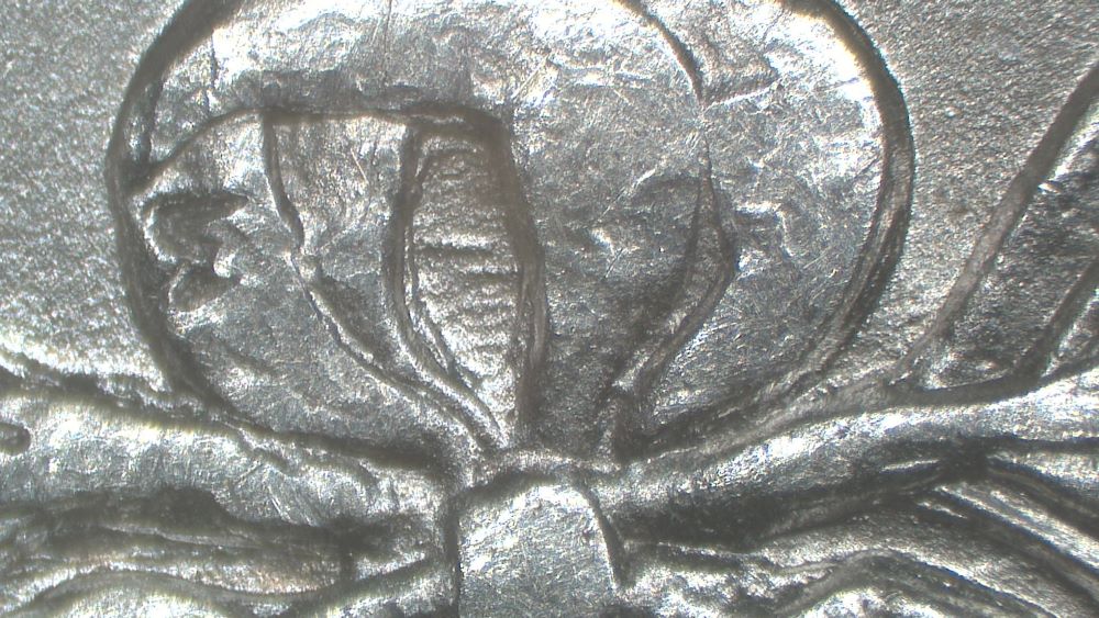 Image 14