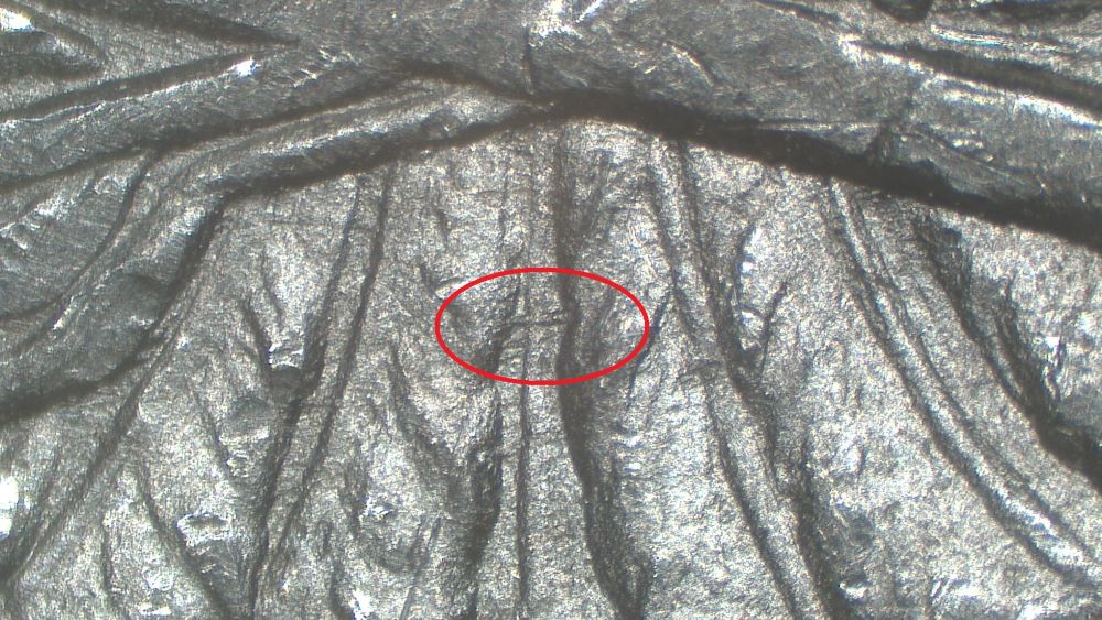 Image 10