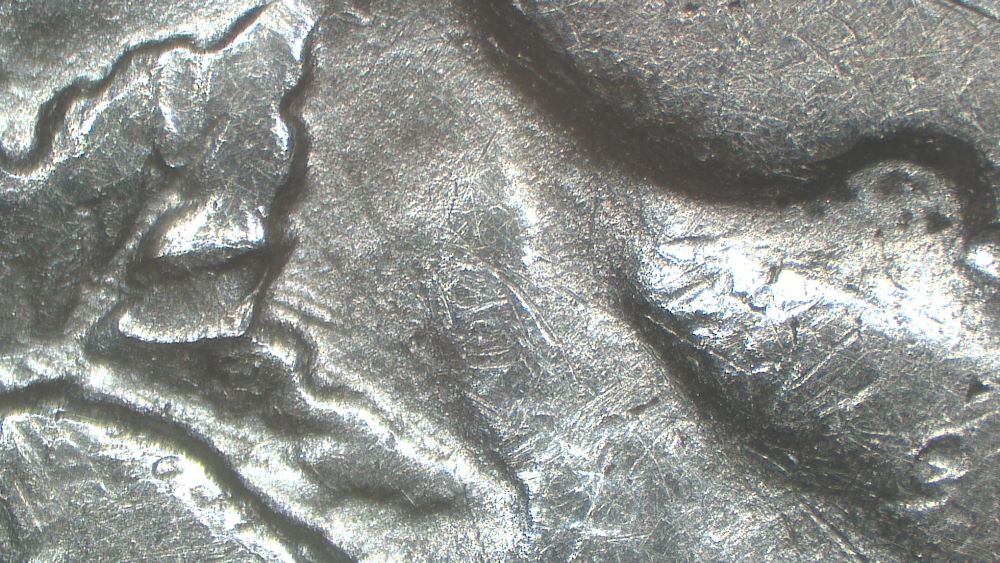 Image 19