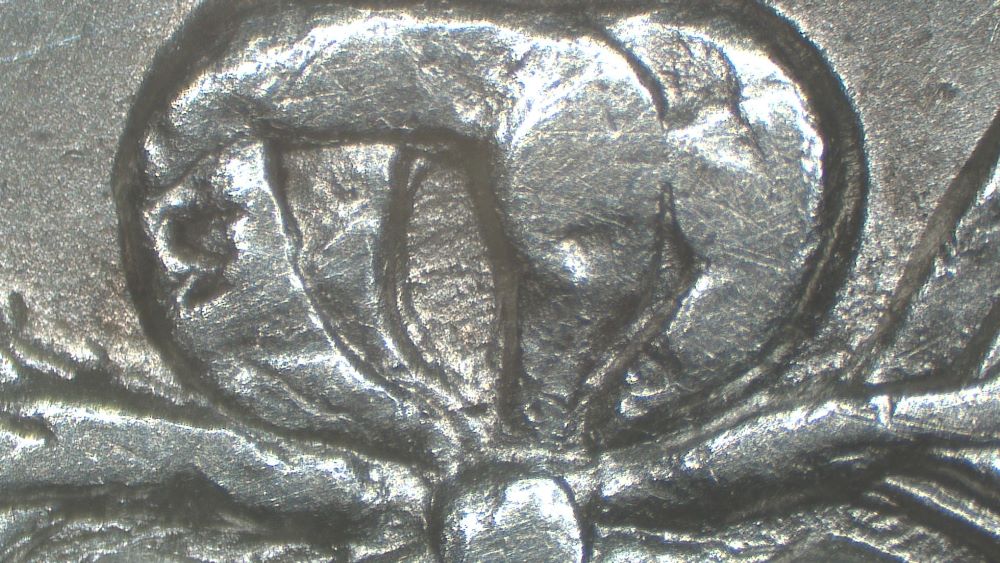 Image 20