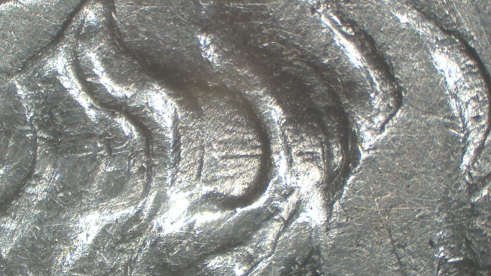 Image 24