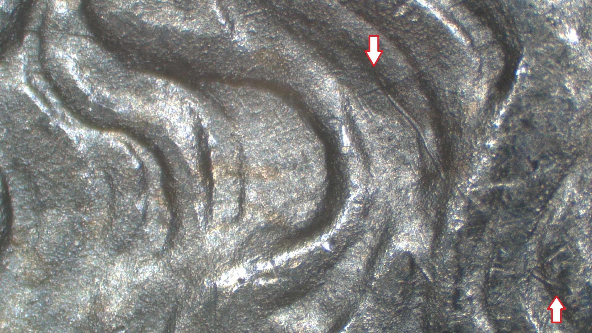 Image 14