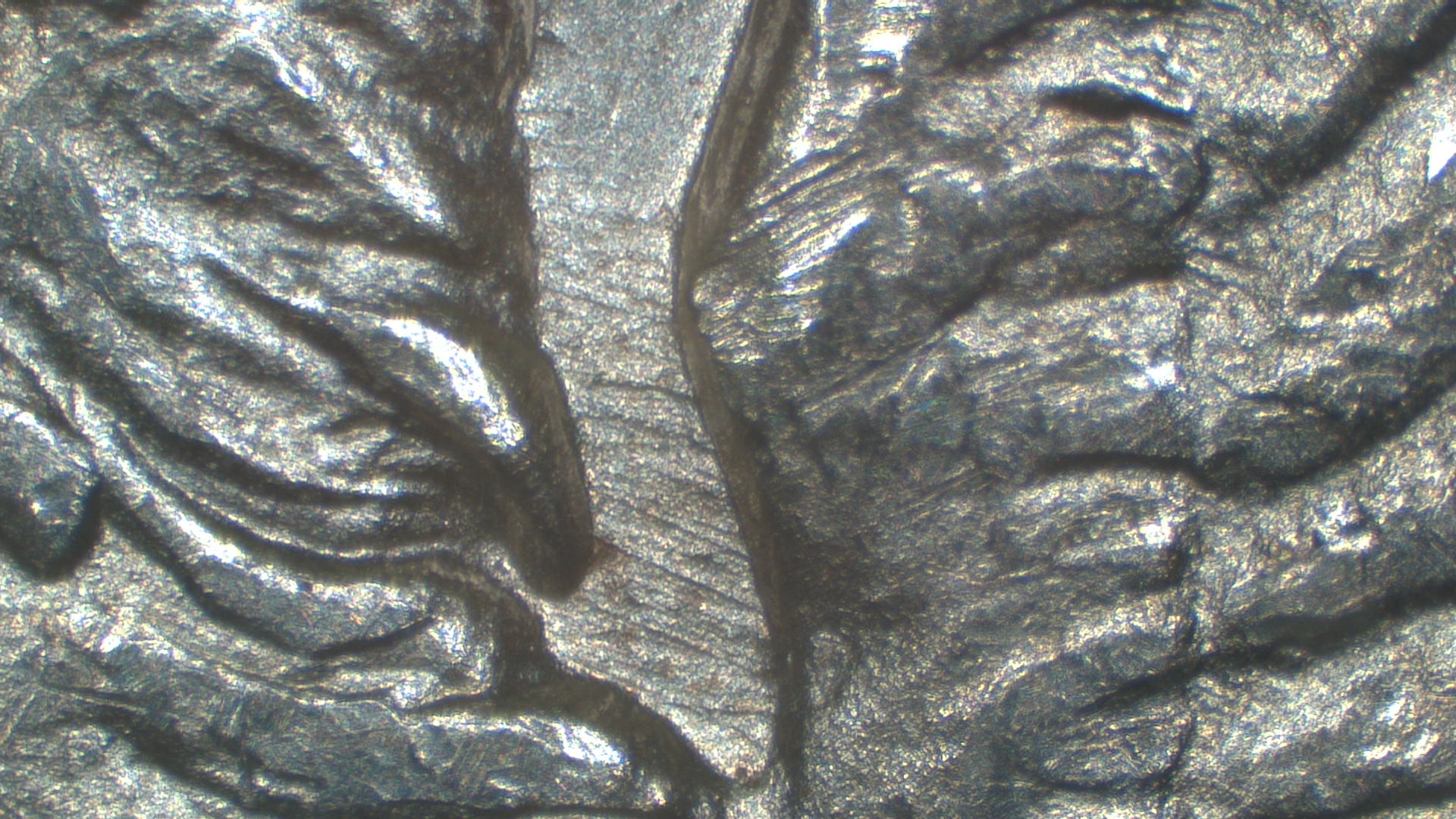 Image 18