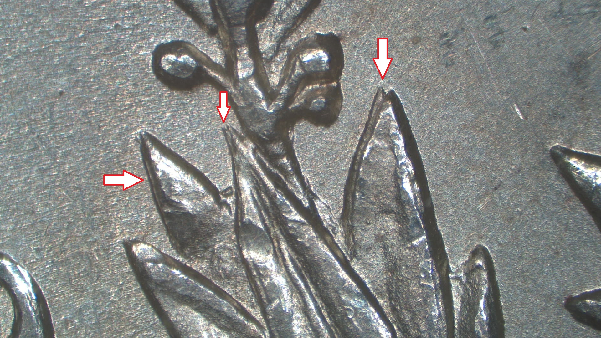 Image 13