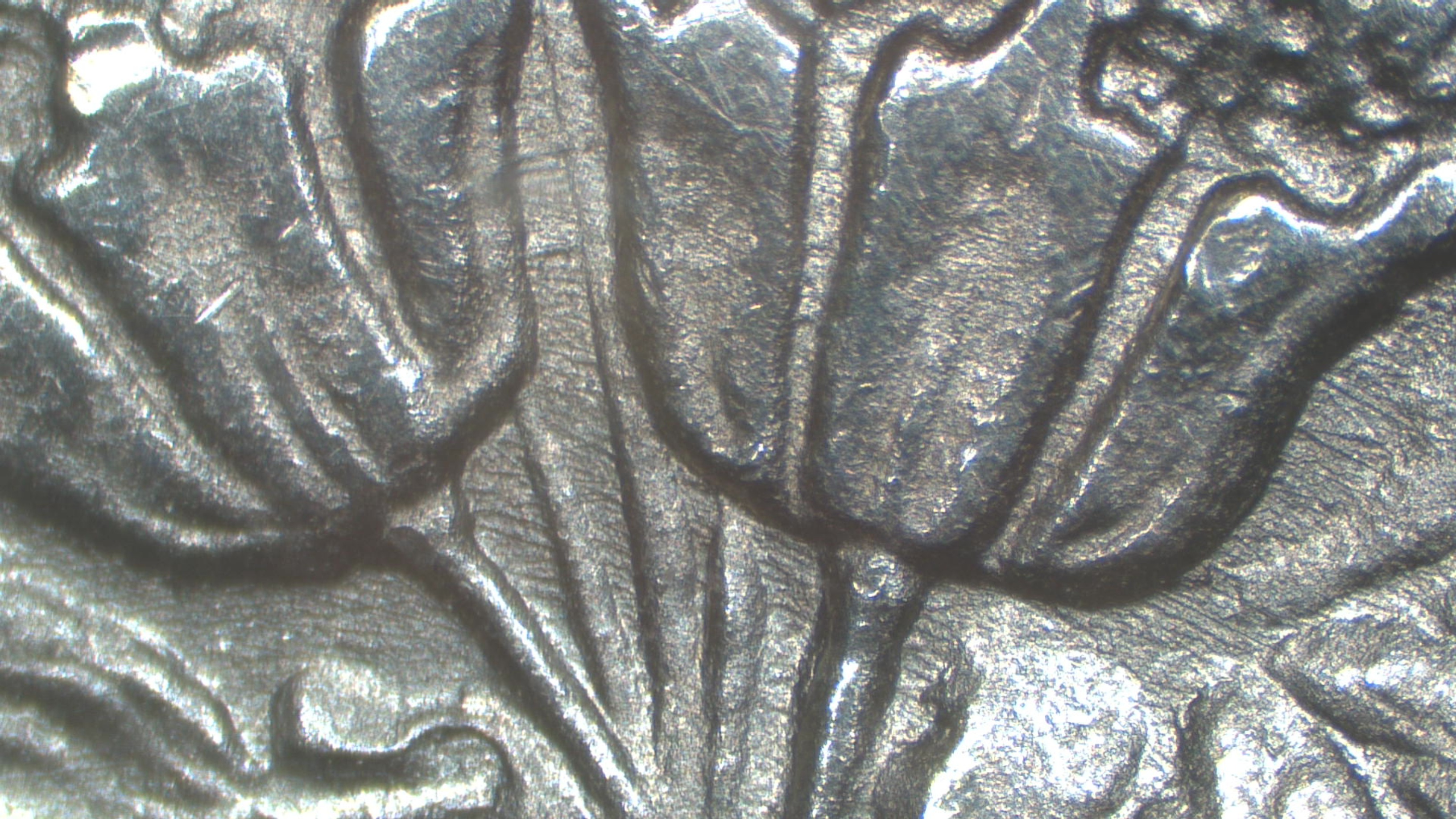 Image 14