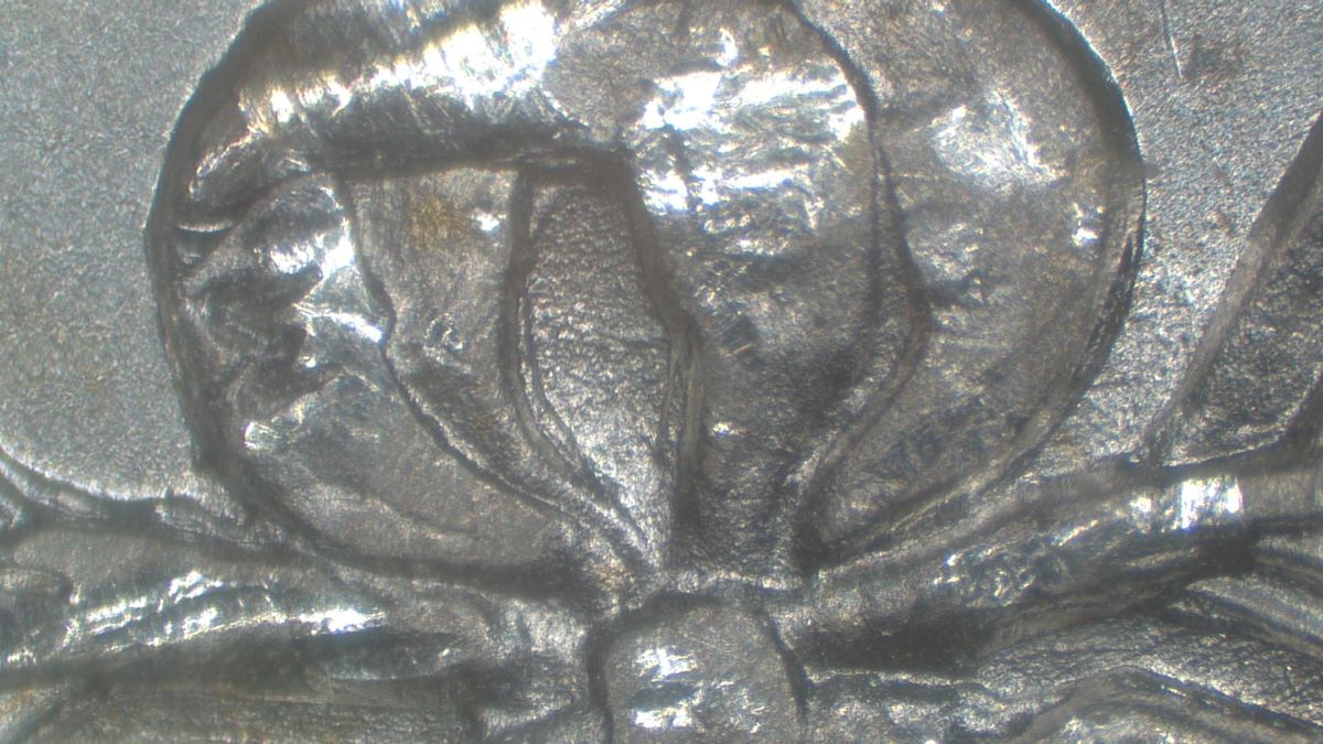 Image 13