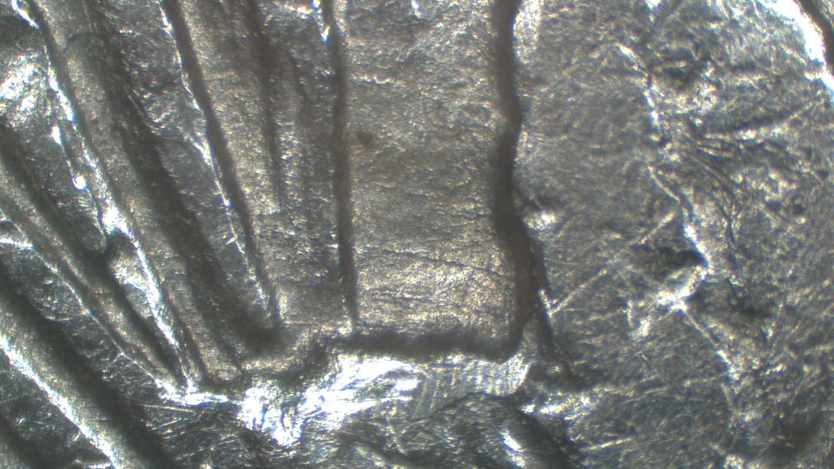 Image 17