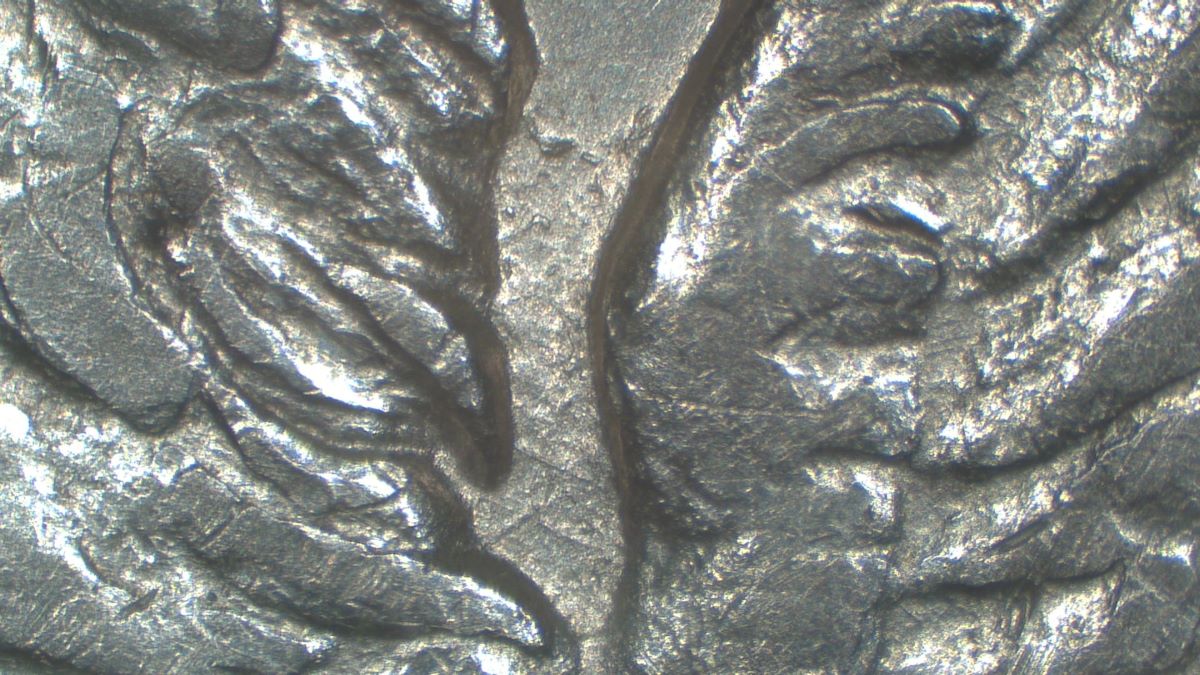 Image 14