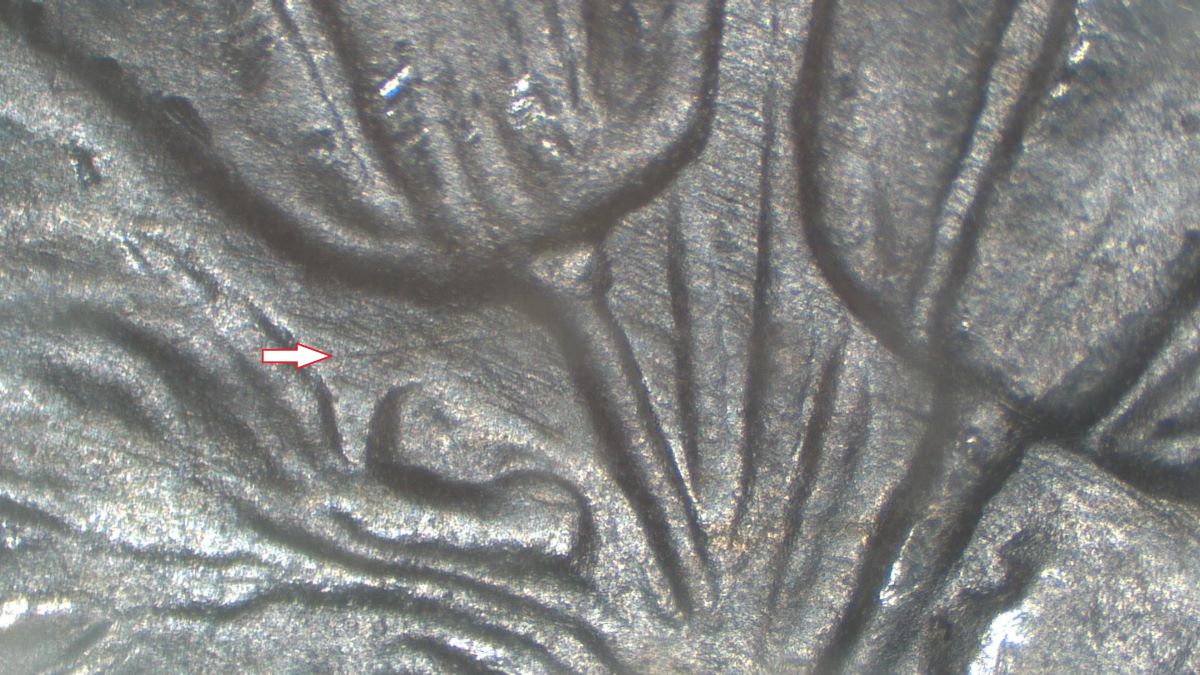 Image 9