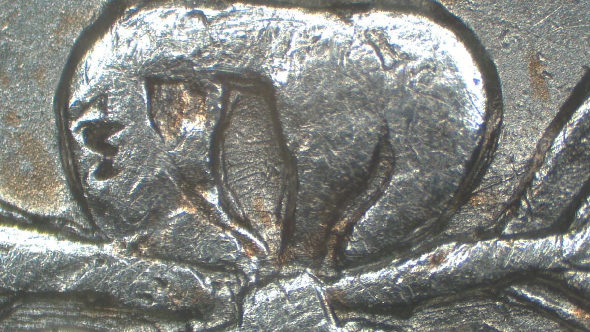 Image 9