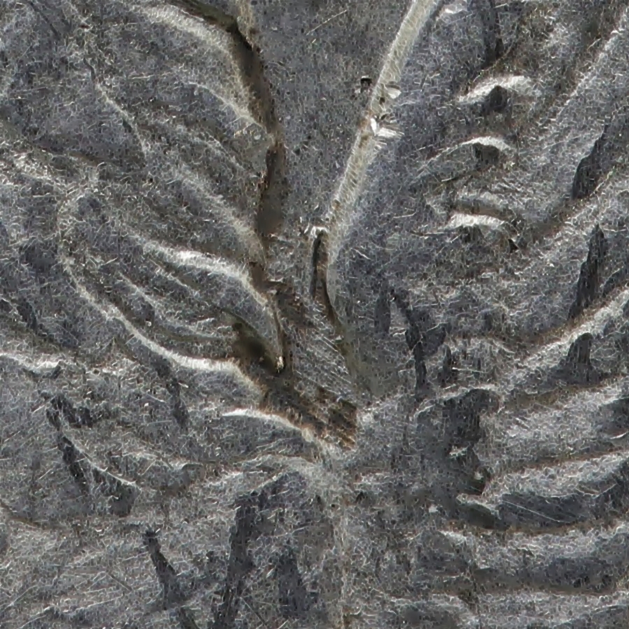 Image 10