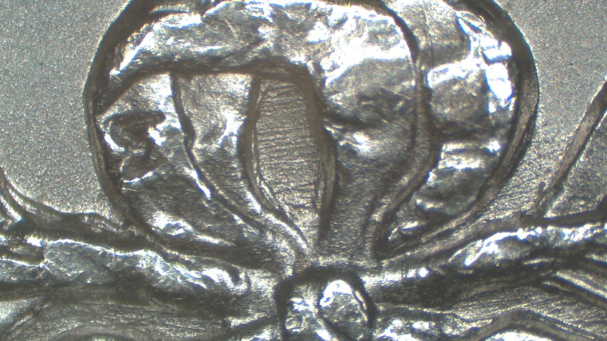 Image 9