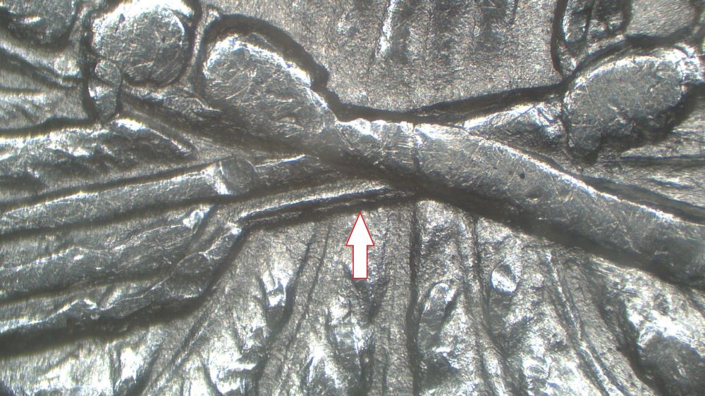 Image 15