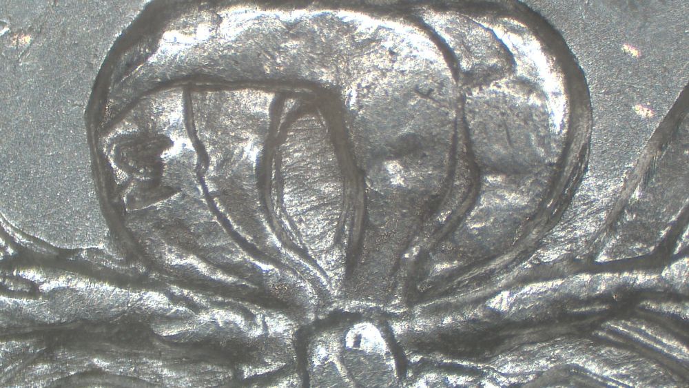 Image 16
