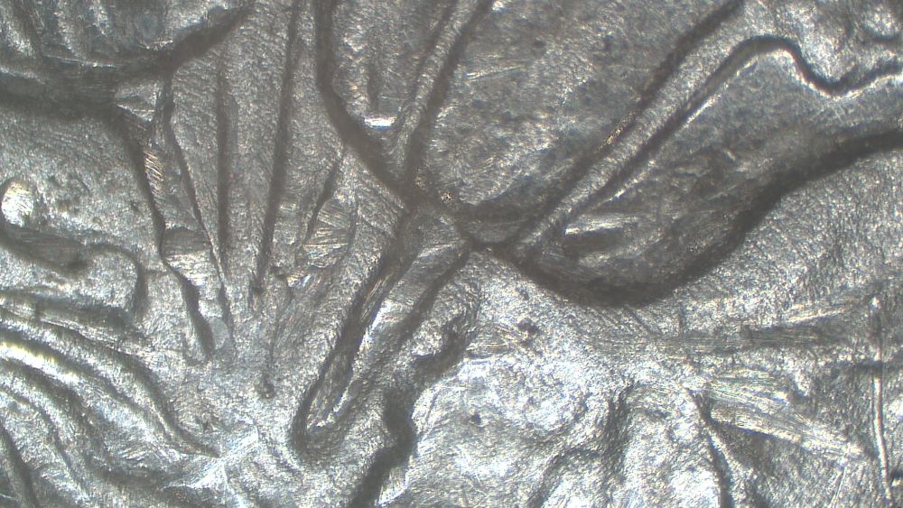 Image 13