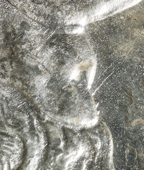 Image 23