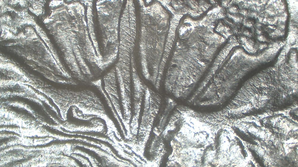 Image 32