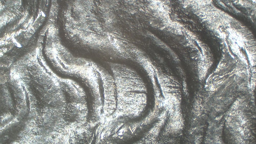 Image 13