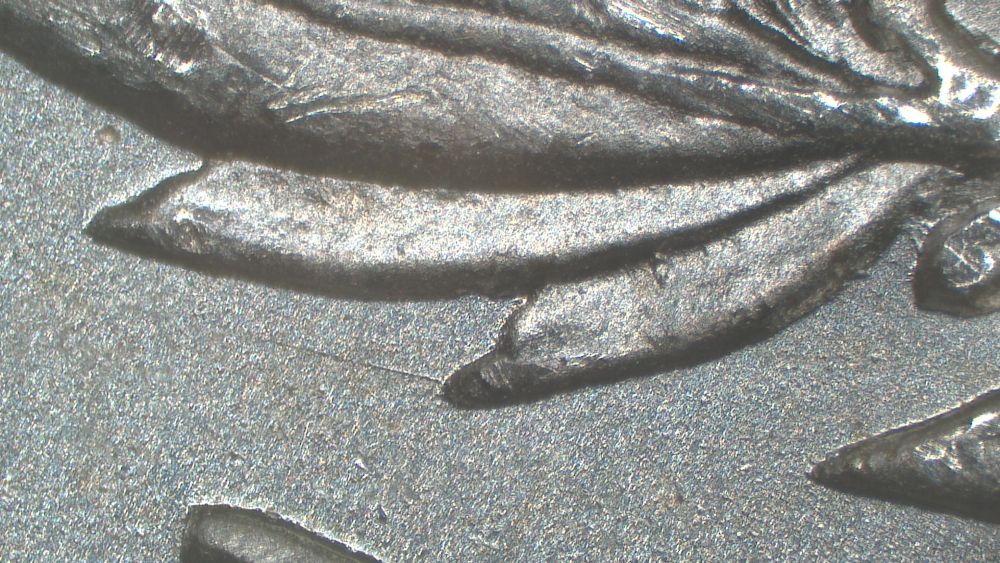 Image 19