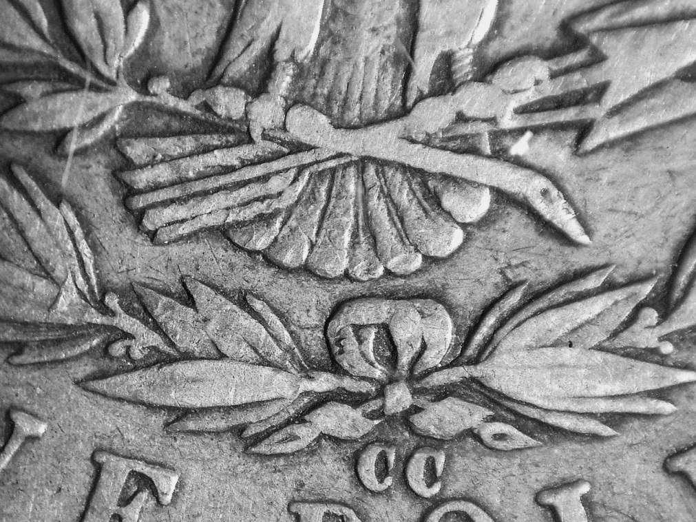 Image 14