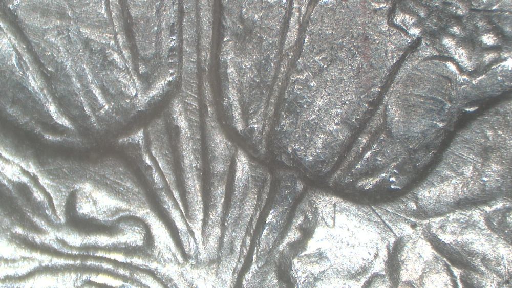 Image 16
