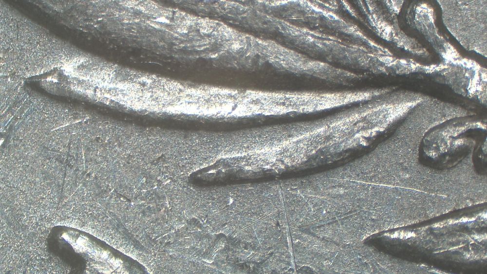 Image 14