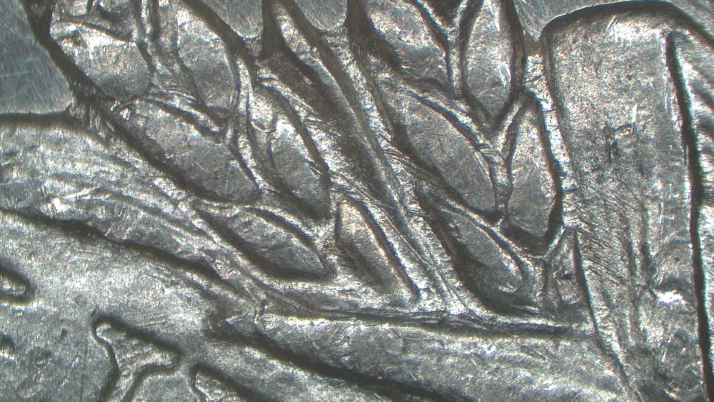 Image 17