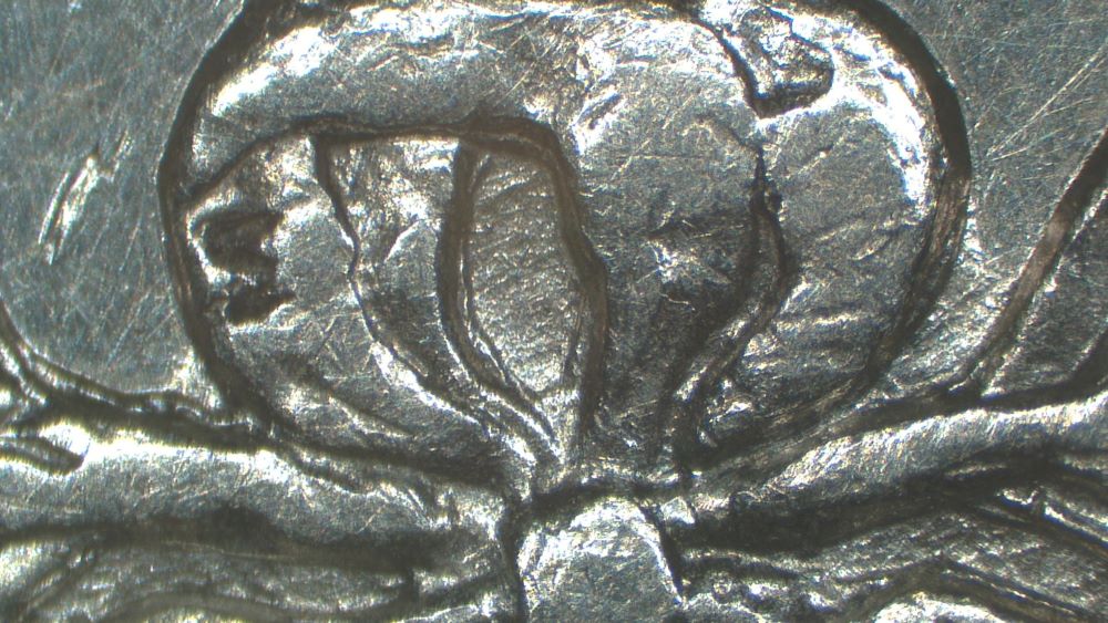 Image 19