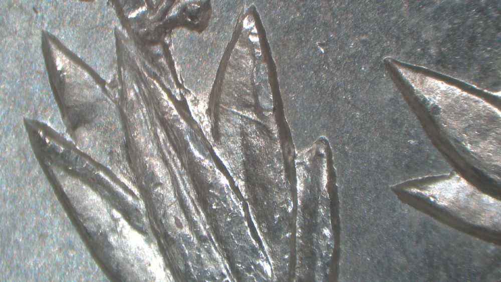 Image 22