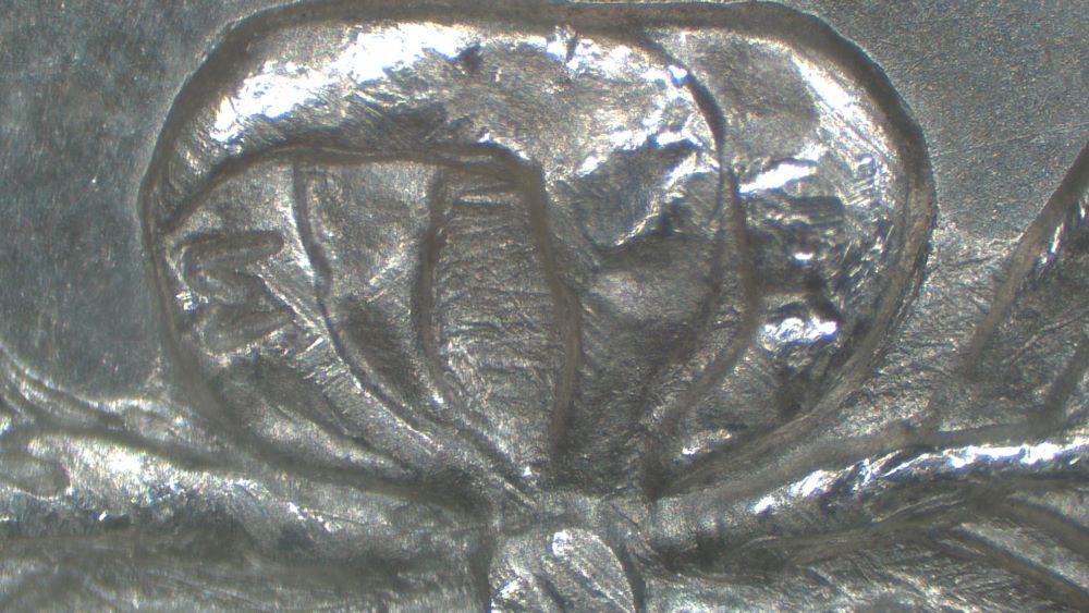 Image 14