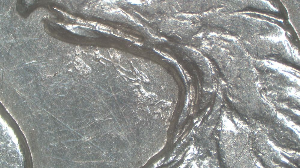 Image 24