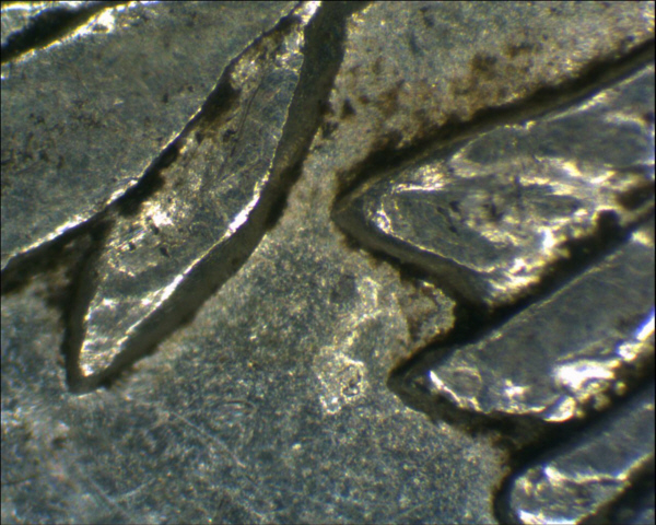 Image 20