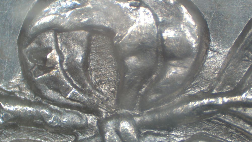 Image 18