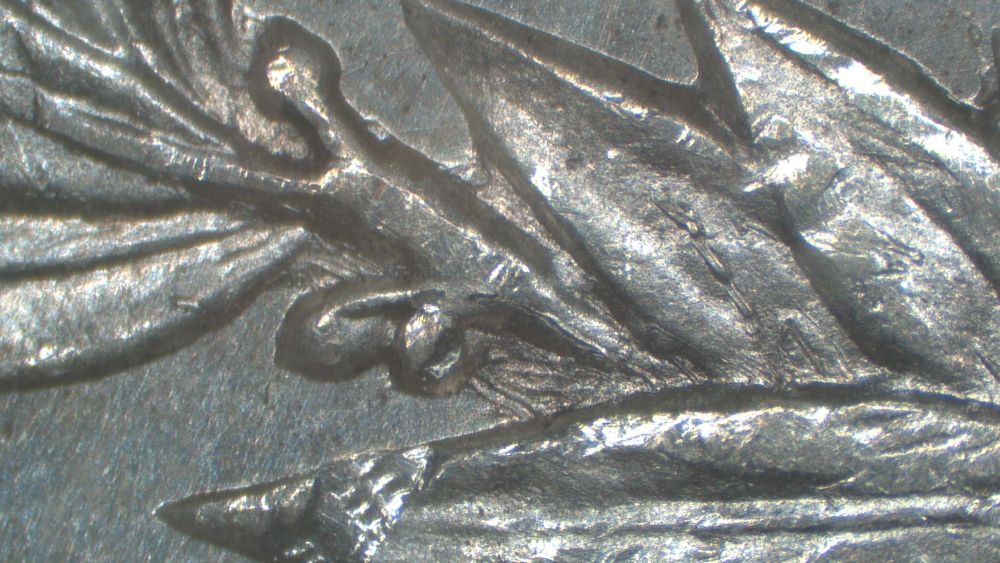 Image 20