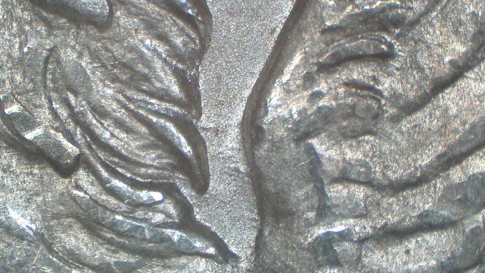Image 14