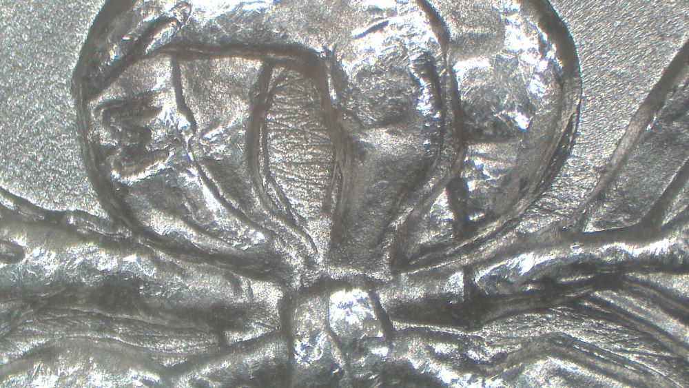 Image 15