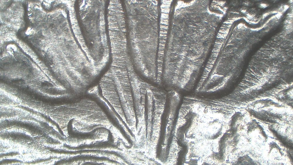 Image 17