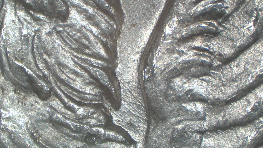 Image 16